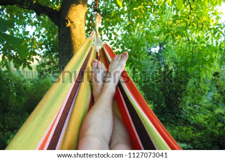 Legs in the hammock. Relax rest in the garden at sunset