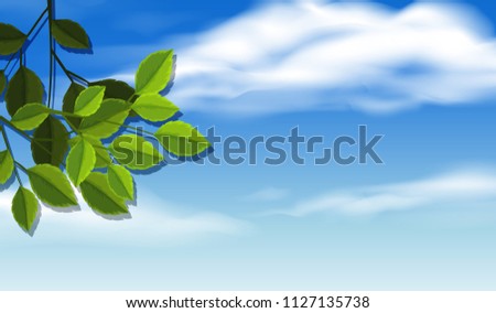 Tree Plant and Sky illustration
