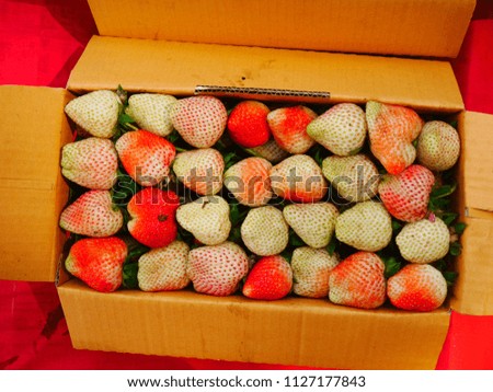 Strawberry
Live in a box on the hill in Chiang Mai, Thailand.