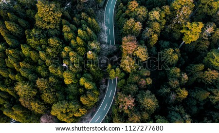 Aerial shot looking down at the tree tops from above. Royalty-Free Stock Photo #1127277680