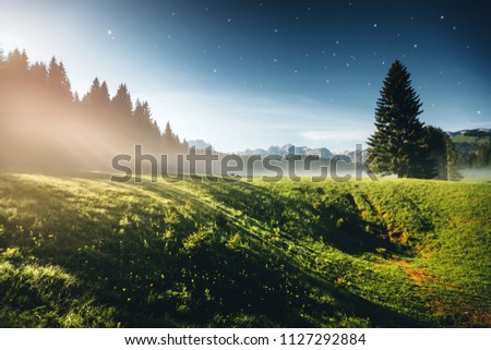 Misty summer night in the Durmitor National park. Location place village Zabljak, Montenegro, Balkans, Europe. Scenic image of the alpine valley. Magic astrophotography. Discover the beauty of earth.