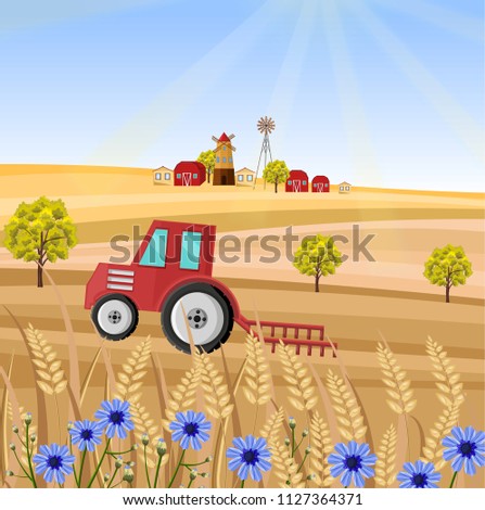 Tractor at the farm Vector illustration. Wheat field stalk. Provence harvest backgrounds