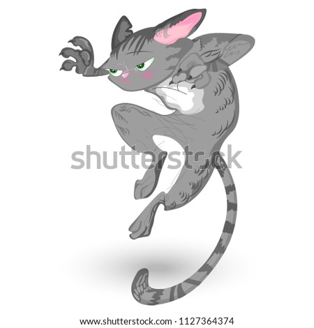 Cat attack Vector. Detailed cartoon character, funny illustrations