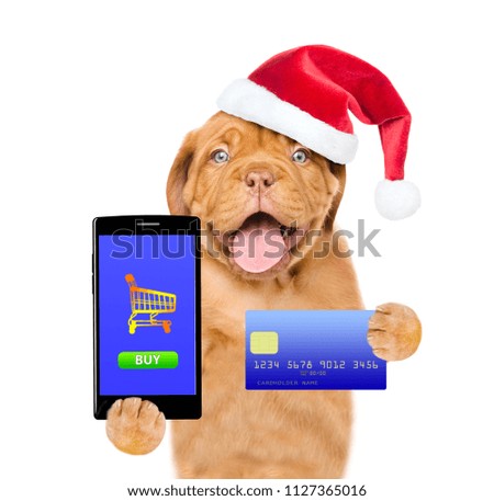 Happy dog in red christmas hat with smartphone and credit card. Isolated on white background