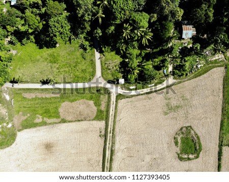 Aerial view of paddy field during afternoon or evening with beautiful blue sky, cloudy and shining in Pasir Hor, Kelantan. 