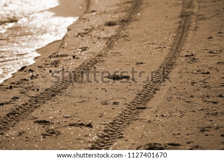 A trace of tires on a wet beach