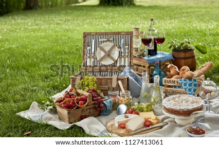 Gourmet picnic lunch in a park spread on a rug around a hamper with wine, cheese, fresh fruit, , bread rolls, cake, pickles and wraps on green spring grass under a tree
