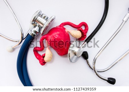 Medical concept in obstetrics and gynecology. Anatomical figure copy of uterus with appendages - ovaries and fallopian tubes is surrounded by two heads of stethoscopes, which examined it top view Royalty-Free Stock Photo #1127439359