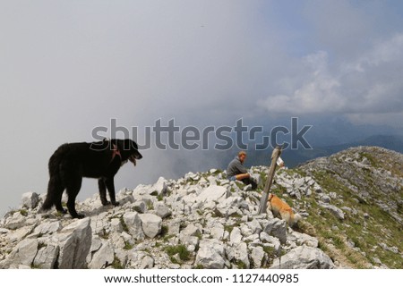 Young woman with dogs on the top of Pania della Croce