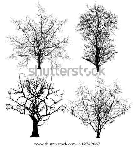 Dead Trees Vectors