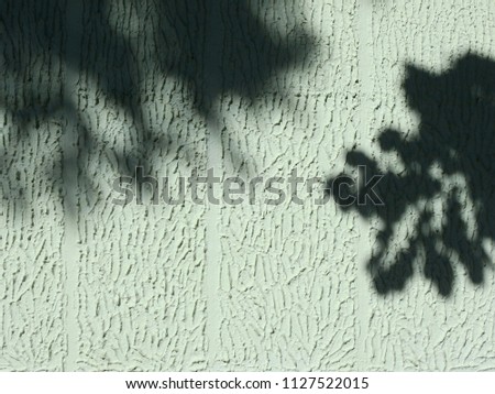 shadow of leaf on rough blue wall 