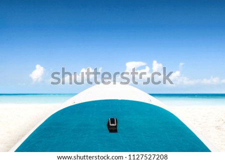 Summer background of free space for your decoration. 