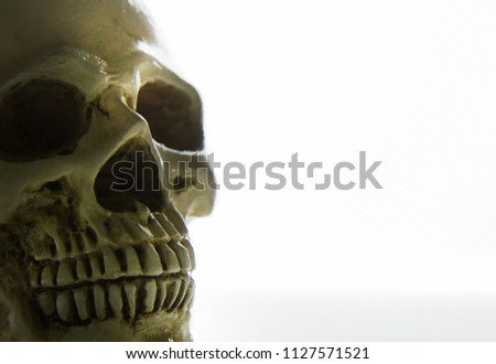 The skull close up on glow light abstract  background .