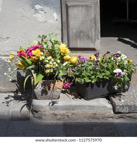 Basket with violets and artificial bouquet of tulips, chrysanthemums, lilies of the valley and buttercups, decorate the entrance to restaurant