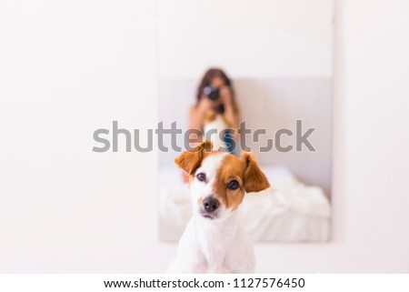 young woman sitting on bed and taking a picture with a reflex camera to her cute small dog on the mirror. Daytime. LIfestyle with pets