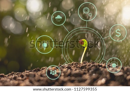 Seedlings are growing from abundant soil with the icon of the concept of the world and energy, ecology concept. Royalty-Free Stock Photo #1127599355