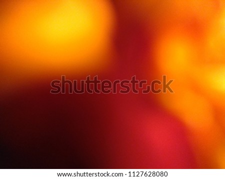 Abstract out of focus yellow lights coming from the mother nature with abstract background of Black color and red flower. Abstract background of Red, Yellow, Purple and black color. 