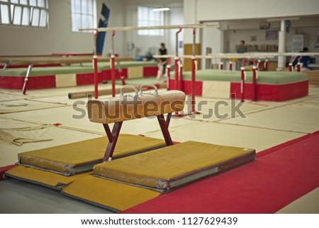 Gymnastics Hall. Gymnastic equipment.