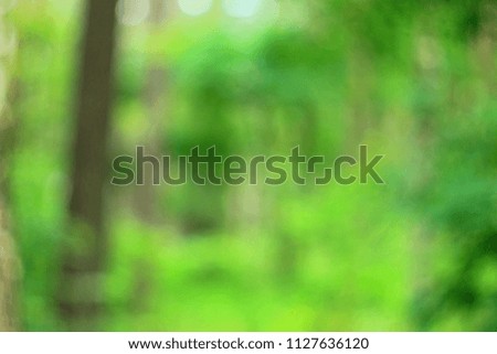 Summer green forest bokeh background pattern