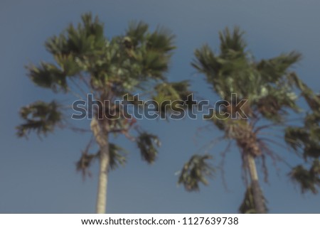 palms against the blue sky, blurs, background