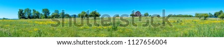 Panoramic view of a land with a vintage farm in summer 