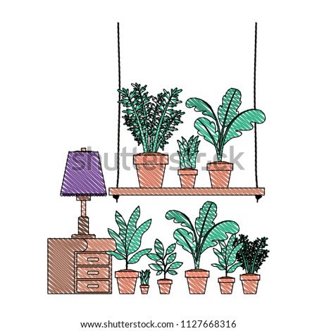 drawer with houseplants and lamp