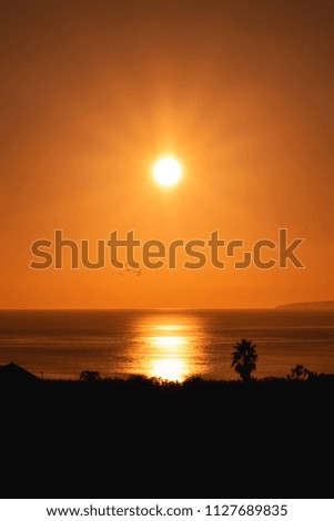 Orange sky background, Sunrise at Capelas, Azores, Portugal