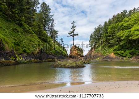 Deadman's Cove at Cape Disappointment in Washington, USA Royalty-Free Stock Photo #1127707733