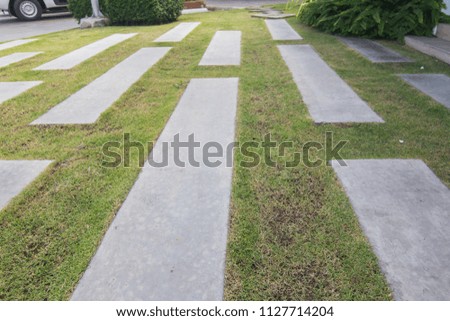 Walkway, cement pavement in the green garden, landscape design.
