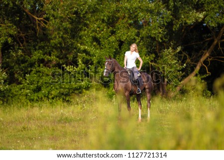 Young blond woman with long hair jockey rider jumping on a bay horse on a background of field and forest