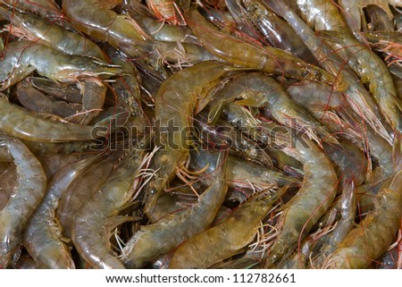 Fresh shrimp in market, Thailand.