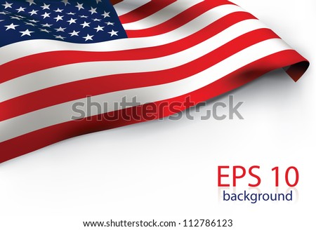 USA Flag - Old Glory flag VECTOR