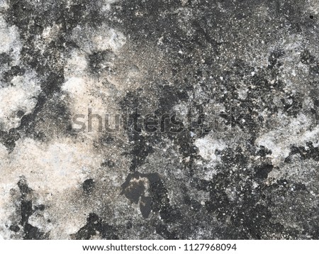 Fungus or mold on dirty concrete texture background 