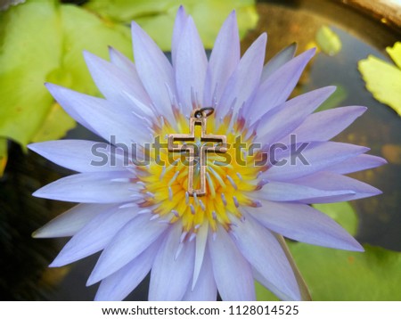 Golden christian cross on beautiful flower, brightful purple lotus, selective focus with enlightment concept