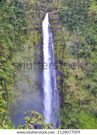 Akaka Falls - Big Island Hawaii
