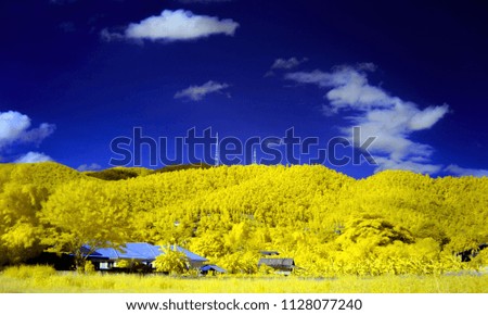 Yellow mountain and blue sky from near infrared style. As if in a dream in paradise  concept.        