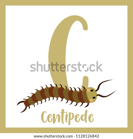 Cute children ABC animal zoo alphabet C letter flashcard of Centipede for kids learning English vocabulary. Vector illustration.
