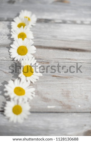 Camomiles lie on wooden table 