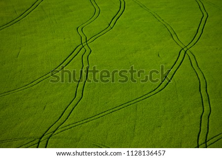 Green field, view from a height. Evenly green field with curved lines. Curved lines, similar to chromosomes