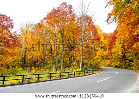 Road in autumn forest in the mountain ,curvy way and fence along street in sunny day the landscape natural trees background , in Tohoku Aomori Japan. Royalty-Free Stock Photo #1128150410