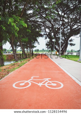 bicycle path in the public park