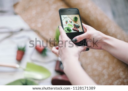 Woman makes photos of succulents with her smartphone. Woman is taking a photo of the green plants,concept.