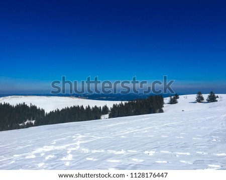 Panorama view at the top of the Feldberg mountain, white snow, the clear blue sky and some winter forest between them, Black Forest, Germany