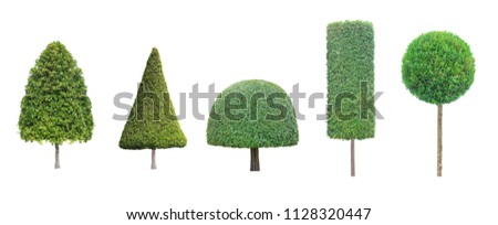 collection set of different shape of topiary tree isolated on white background for formal Japanese and English style artistic design garden Royalty-Free Stock Photo #1128320447
