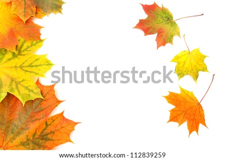Frame of Autumn leaves on white