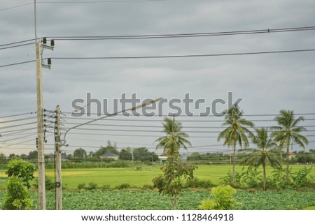 electricity post at field, Thailand 
