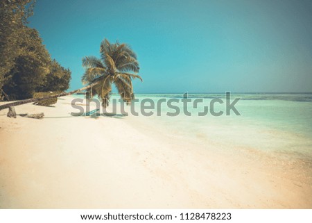 Retro styled picture of tropical beach and palm tree. Vintage filter landscape and relaxing beach background for vacation or summer holiday concept