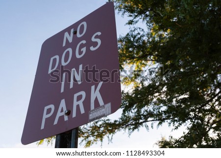 No Dogs In The Park Sign In A Park Block Letters