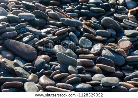 Sea pebble. (Sea stones background)