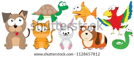 Domestic animals - funny vector pets (dog, cat, turtle, goldfish, rabbit, guinea pig, snake, parrot)